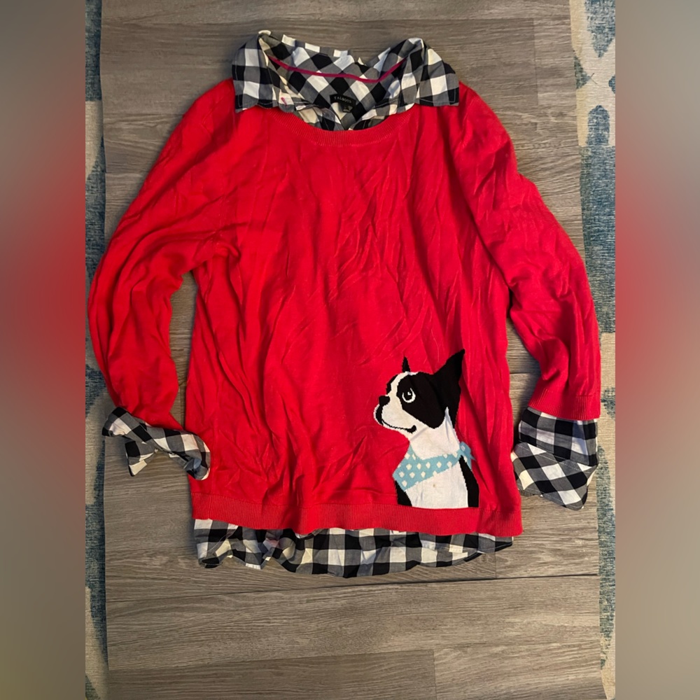 EUC Talbots Button down and sweater set